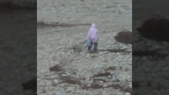 Туапсинский район агой. 21 век пять обществ отрезаны от цивилизации это около 1000 человек. смотреть онлайн