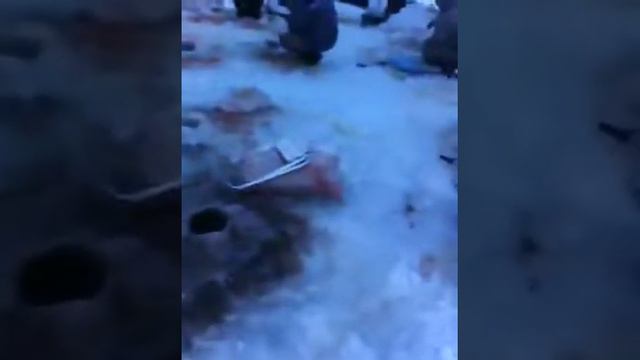 Багрильщики смотреть онлайн
