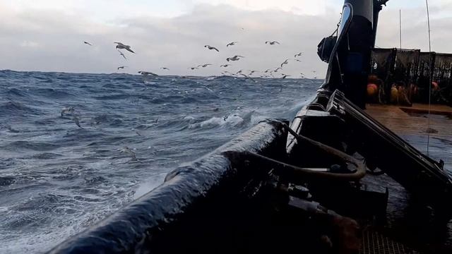 Шторм. Краб. Стригун. Рейс. Камчатский краб. смотреть онлайн