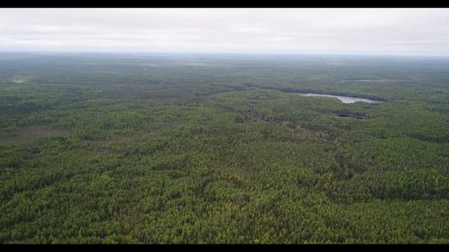 Красоты северной тайги, Арх.обл 2019г смотреть онлайн