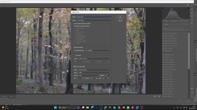 Using CUBE LUTs In Lightroom