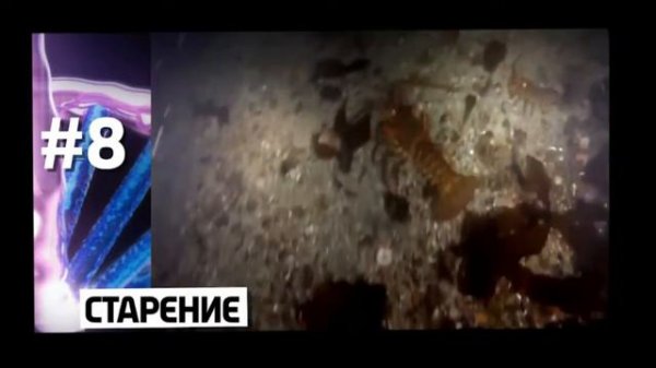 Факты о ДНК!