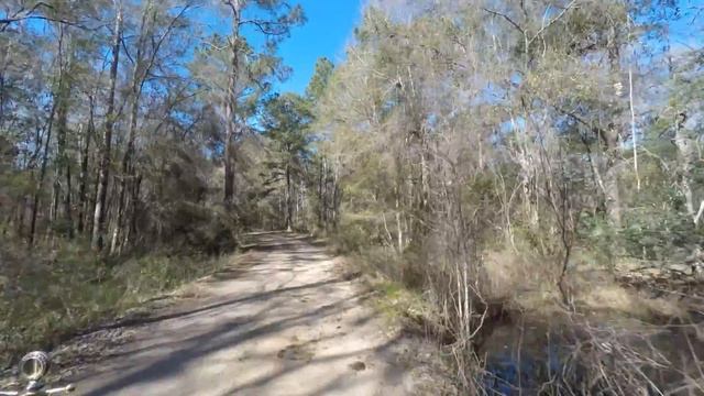 Model T Winter Tour Ocala 2016 смотреть онлайн