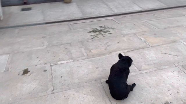 Я когда то был влюблённым, пел в саду тёмно зелёном… (Д. Лондон) смотреть онлайн