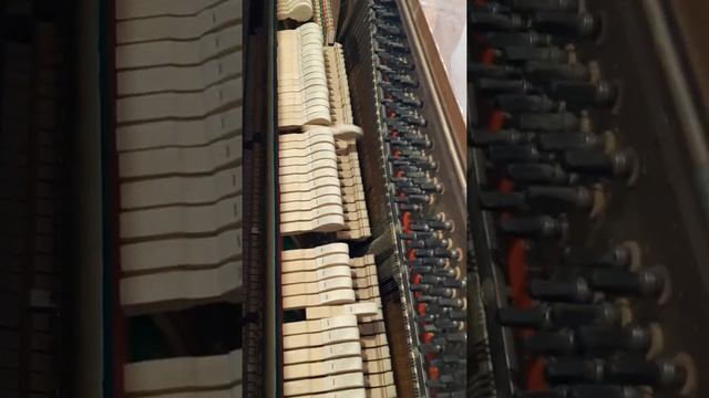 Calisia piano 1960 смотреть онлайн