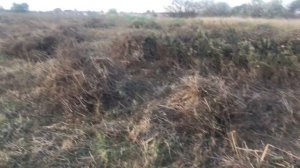 Бизнес на малине куда сдавать ягоду #новости заработал на малине  как начать бизнес на малине