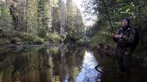 Рыбалка на таёжной реке, охота на боровую дичь.