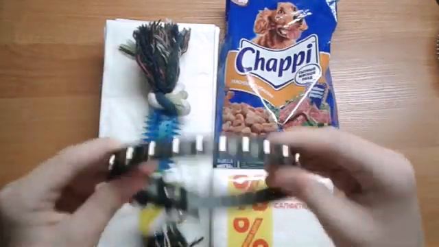 Очарование животных