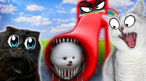 ГОРКА ПОЖИРАТЕЛЬ Сожрала Нашу СОБАЧКУ ШАНЕЛЬКУ!!!? В Реальной Жизни!?