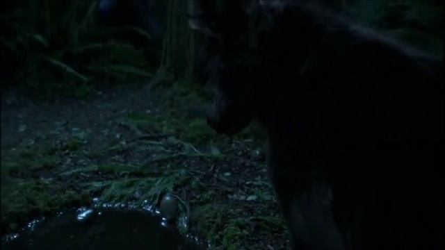 Правдивая история Красной шапочки смотреть онлайн