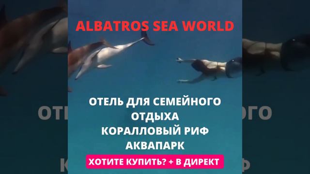 Albatros Sea World Marsa Alam из Ташкента смотреть онлайн