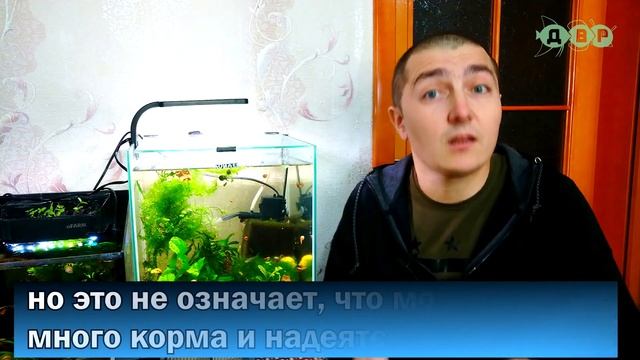 Как правильно пользоваться аквариумным фильтром! смотреть онлайн
