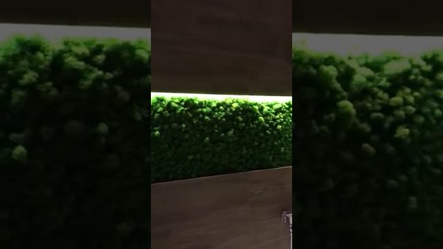Озеленение стабилизированным мхом ягелем в ванной комнате смотреть онлайн