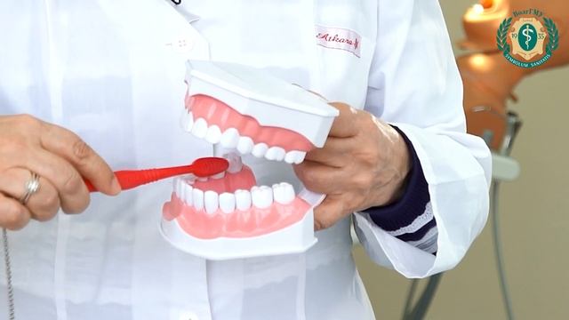 Как избежать зубной боли? смотреть онлайн