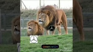 приколы BMW ПРОТИВ MERCEDES TOP 10 ШОК?