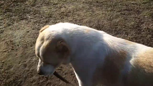 свои вещи на место.