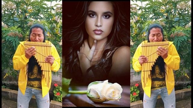 Белые розы Дианы Анкудиновой смотреть онлайн