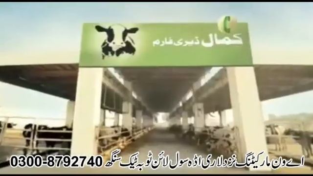 A1 marketing add Toba Tek Singh смотреть онлайн