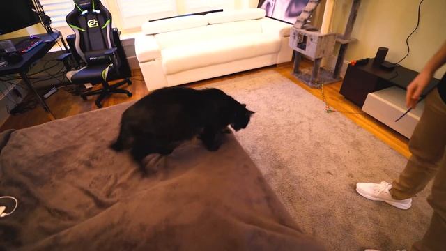 VISITING THE BRAND NEW OPTIC HOUSE! смотреть онлайн