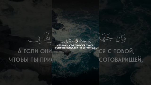 Мехди аш-Шишани #коран смотреть онлайн