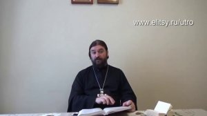 О МУДРОСТИ, где таится мудрость в сердце или мозгах, о глупости и дурости. о. Андрей Ткачёв. Елицы