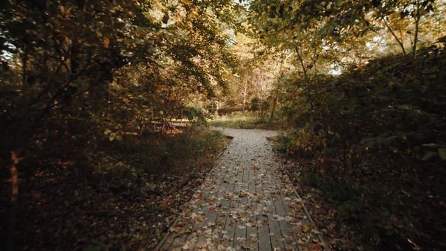Calming Piano Music Ambient Music Soothing music смотреть онлайн