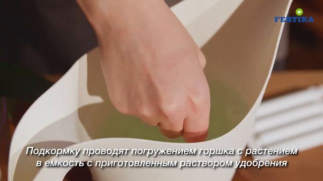 KRISTALON для орхидей смотреть онлайн