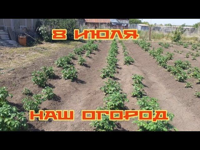 наш огород в начале июля смотреть онлайн