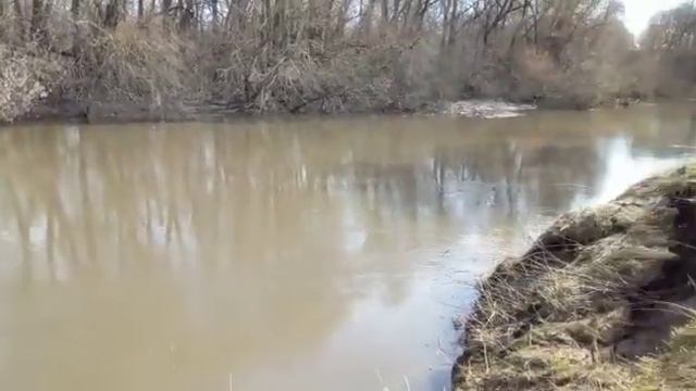 рыбалка в новоклемово, московской области смотреть онлайн