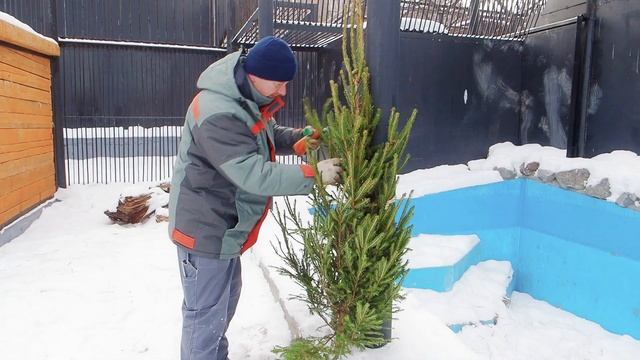 Игрушка для белой медведицы Марфы смотреть онлайн