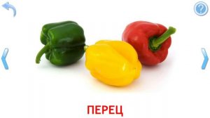 Малыш учит слова