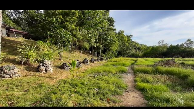For Sale Beach Lot property with beach House in San Remigio, Cebu North смотреть онлайн