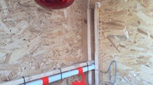 Брудер для цыплят своими руками с терморегулятором.