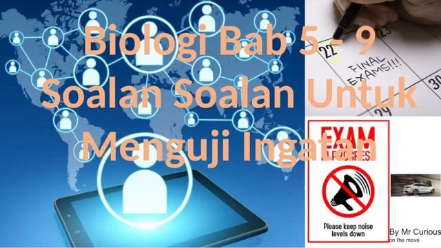 Virtual Biology Bab 5 - 9 Questions смотреть онлайн