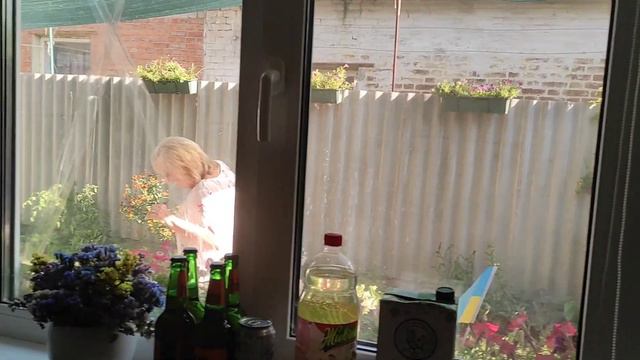 У мамы день рождения 🎂 смотреть онлайн