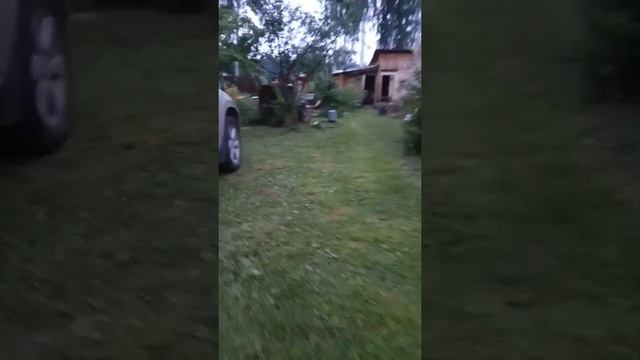 Мини Доберман смотреть онлайн