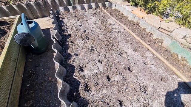 Посадила лук на грядку / семейный и севок. Распикировала лук Эксибишен. смотреть онлайн