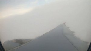 Airbus A321-200/RedWings/Москва-Калининград