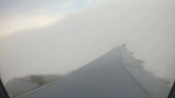 Airbus A321-200/RedWings/Москва-Калининград