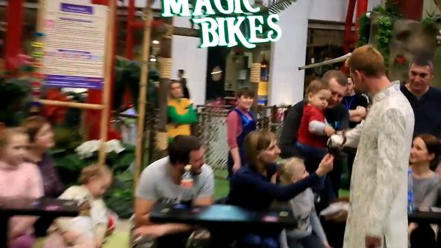 Цирк в ТРЦ Central Park смотреть онлайн