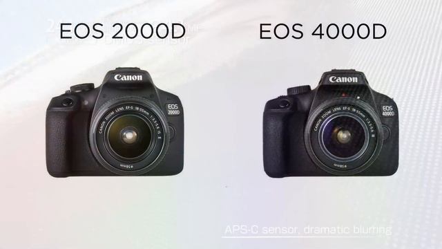 Сравнение камер Canon EOS 2000D и EOS 4000D смотреть онлайн