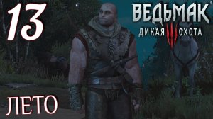Ведьмак 3: Дикая охота. Прохождение ─ Часть 13: Лето