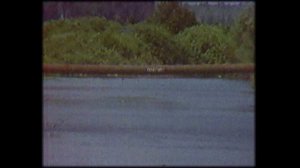 Город Котовск 1991 г. Воронежское ТВ.