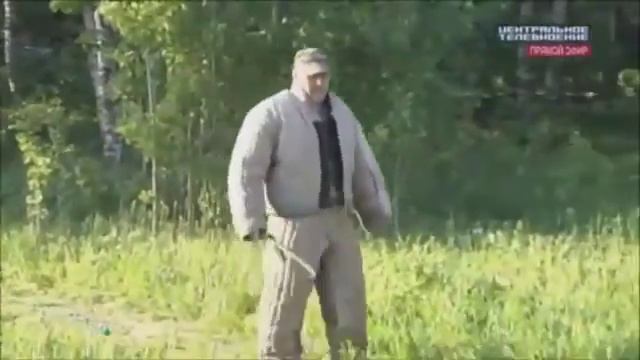 проект "Добрый Мир" project "Kind World" смотреть онлайн