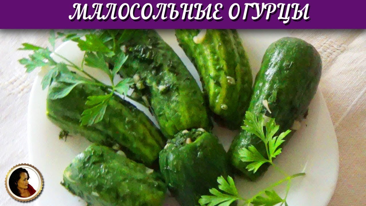 Огурцы малосольные в пакете рецепт. Хрустящие малосольные огурцы без рассола смотреть онлайн
