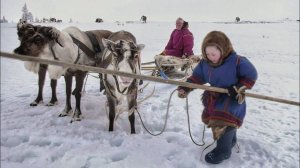 Как воспитывают детей оленеводы. Учеба. Жизнь в тундре. Древний род Сэротэтто | Ясавэй