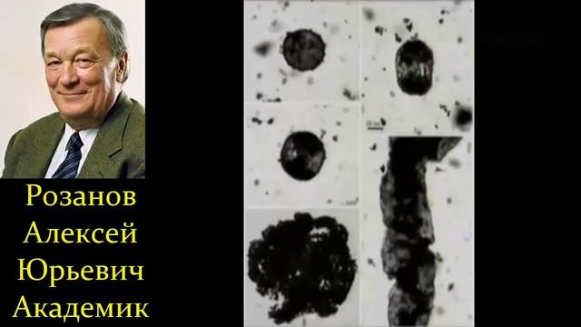 ? Розанов А. Зарождение Жизни на Земле было просто Невозможно! Video ReMastered. смотреть онлайн