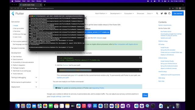 Flutter Installation & Setup Using Visual Studio Code in MacBook смотреть онлайн