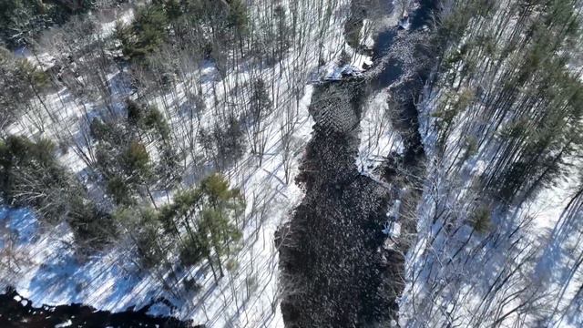 Красивая Музыка Чтобы Восстановить Разрушенное Сознание! Birds At Sunset! смотреть онлайн