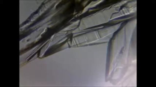 Кристаллизация медного купороса смотреть онлайн